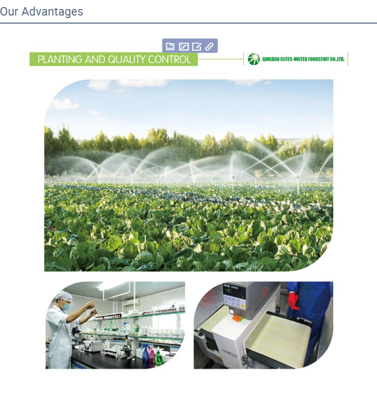 IQF Frozen Sweet Corn Kernel(图3)