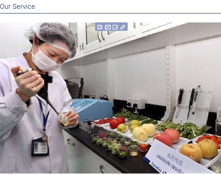 IQF Frozen Sweet Corn Kernel(图4)