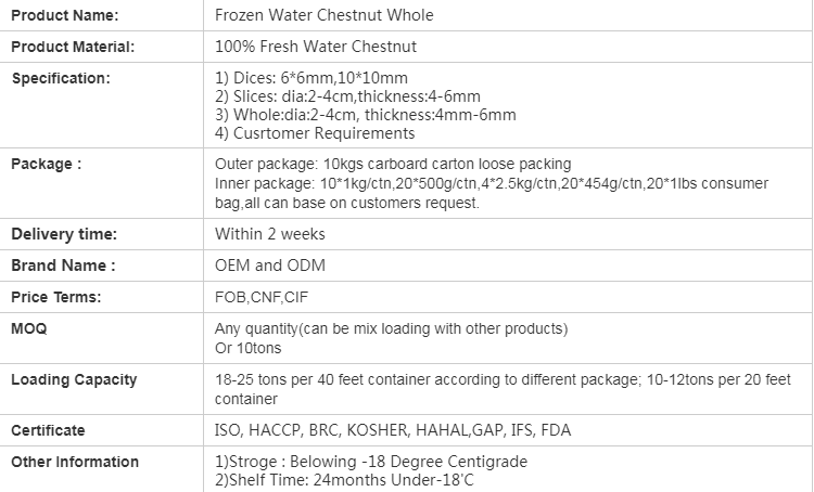 IQF Frozen Water Chestnut Dice(图1)