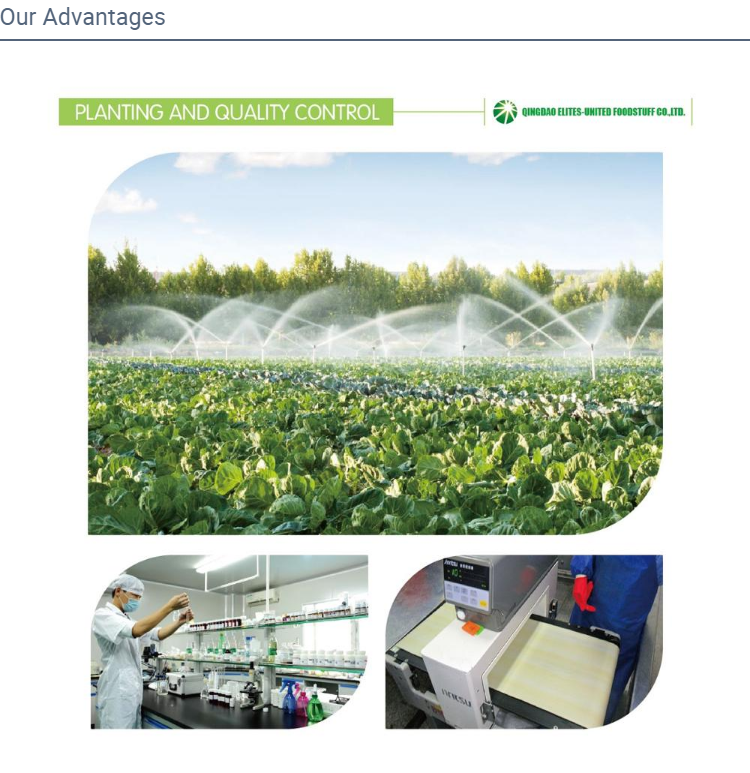 IQF Frozen Green Asparagus(图2) IQF Frozen Green Asparagus(图2)