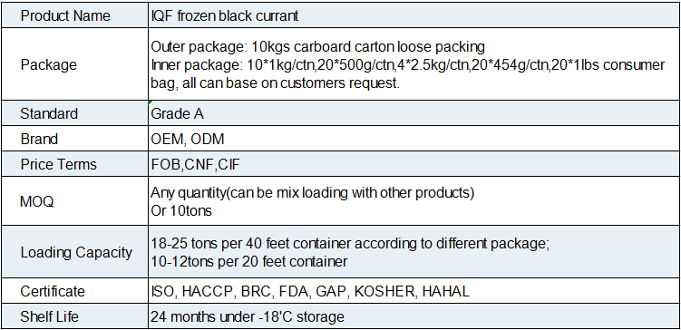 IQF Frozen Black Currant(图1)