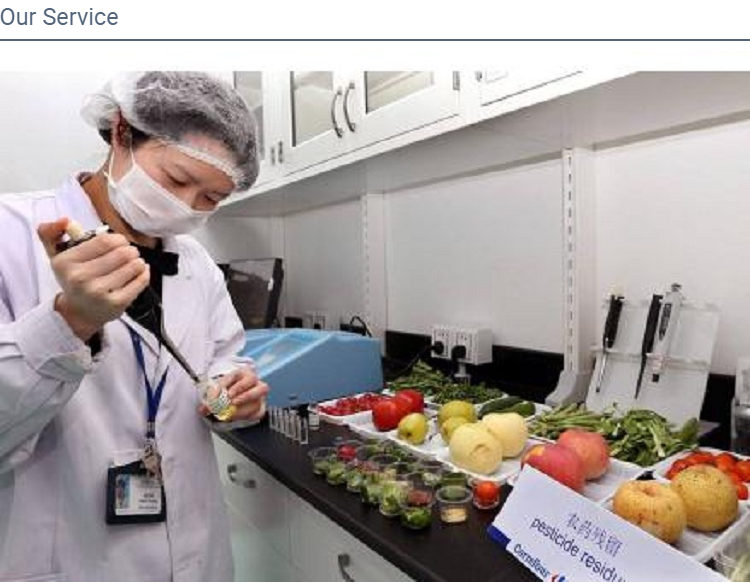 Fresh Onion(图3)