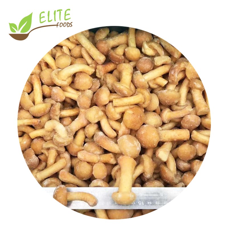 IQF Frozen Nameko Mushroom