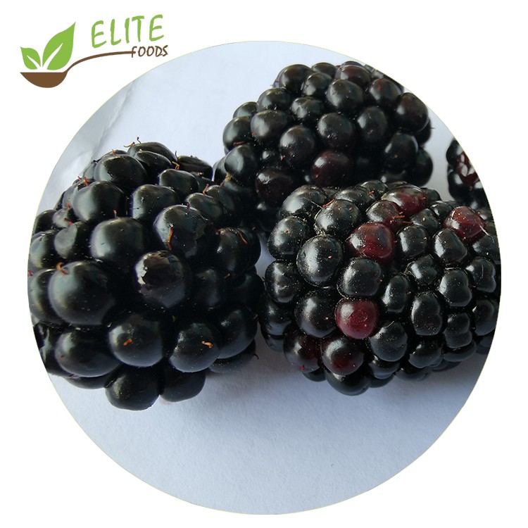 IQF Blackberry