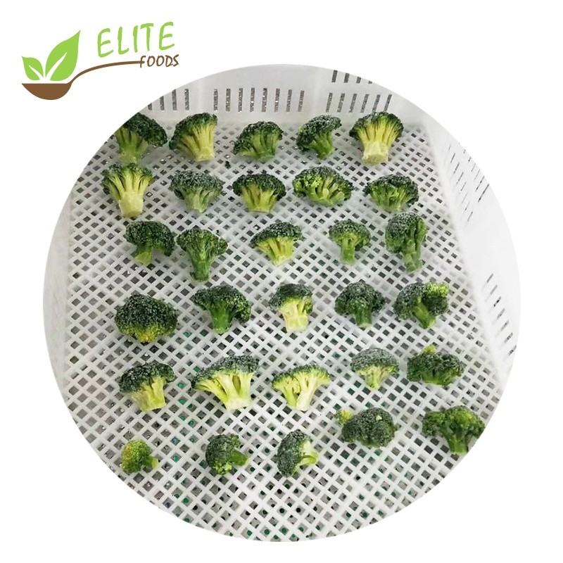 IQF Frozen Broccoli