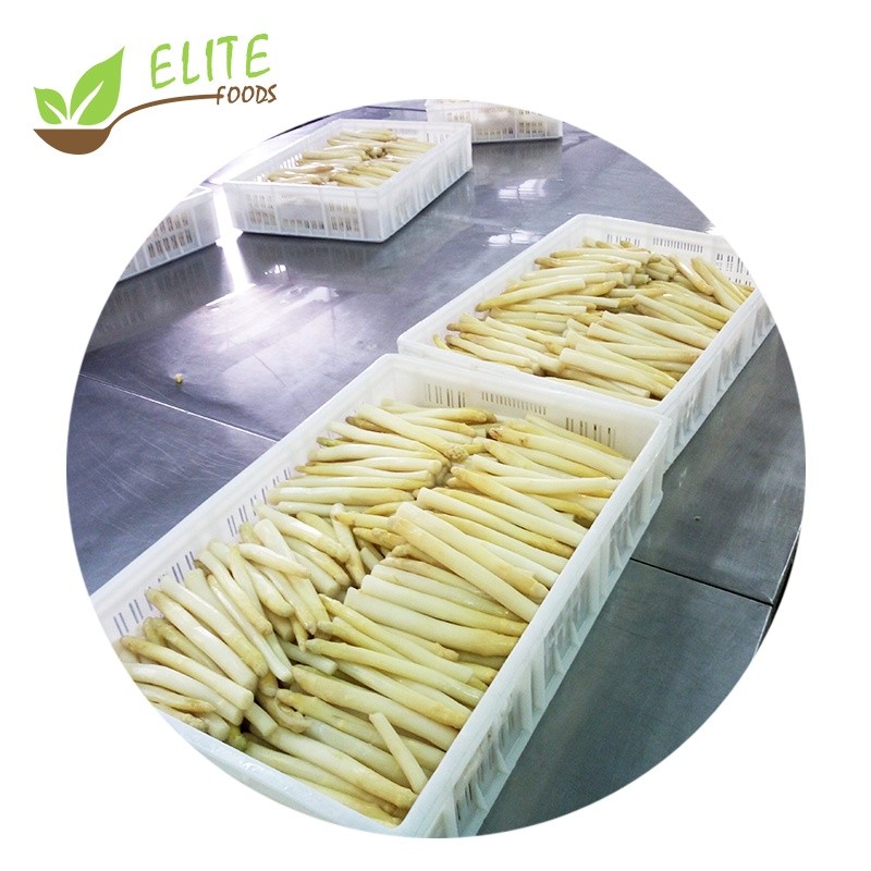 IQF Frozen Write Asparagus