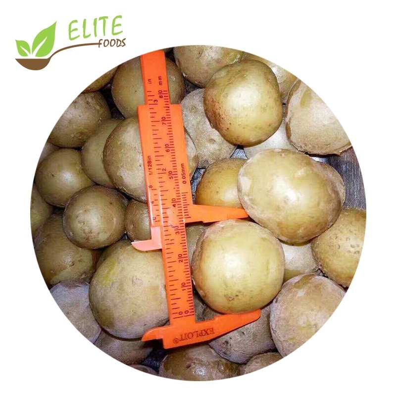 IQF Frozen Potato