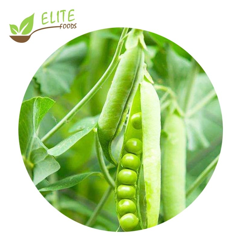 IQF Frozen Suger Snap Peas