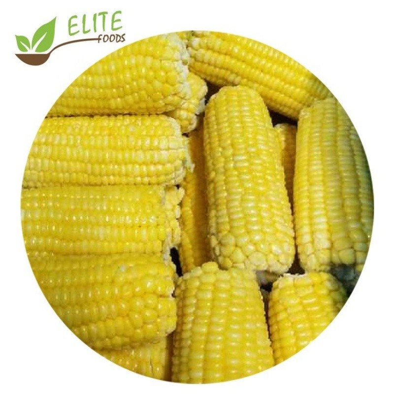 IQF Frozen Corn Cob