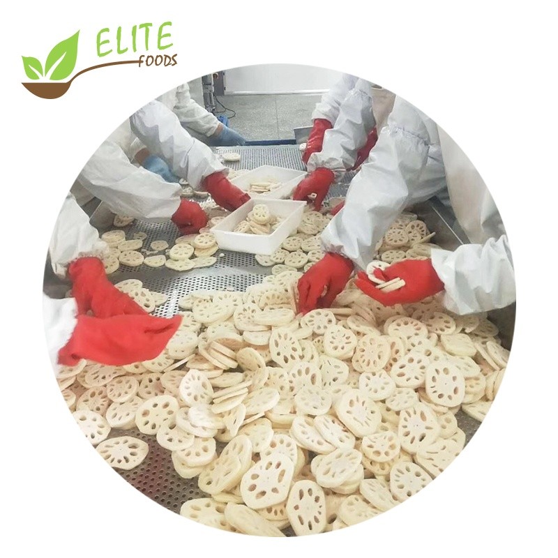 IQF Frozen Lotus Root Slice