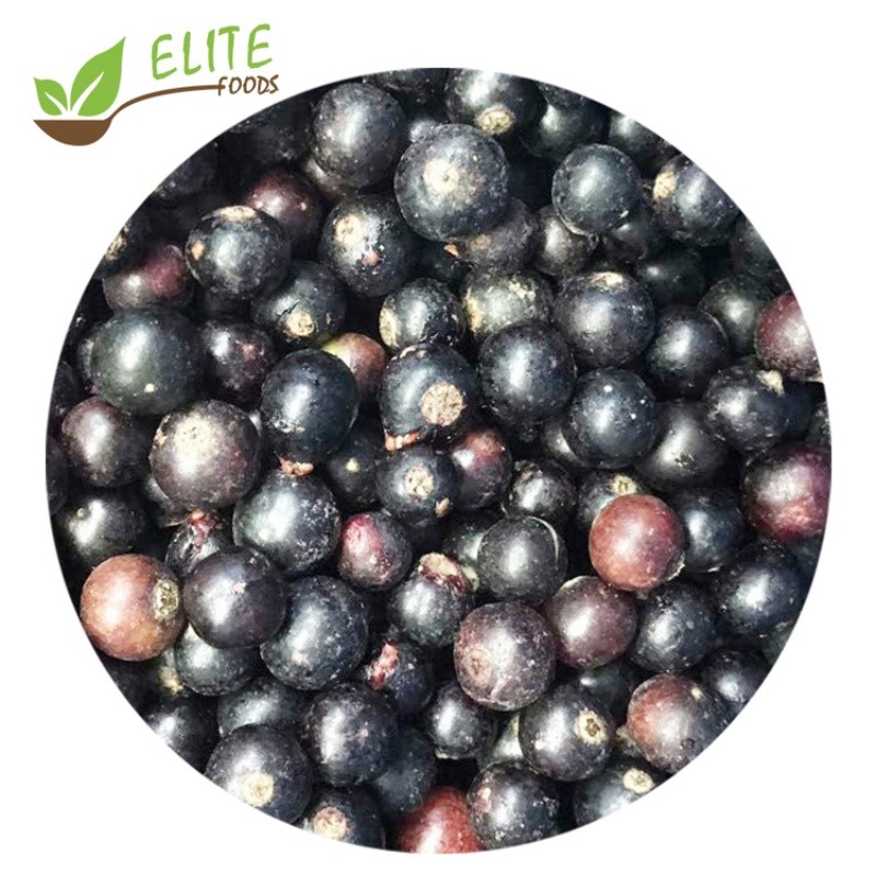 IQF Frozen Black Currant