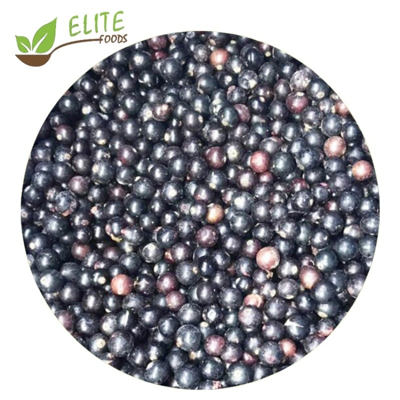 IQF Frozen Black Currant