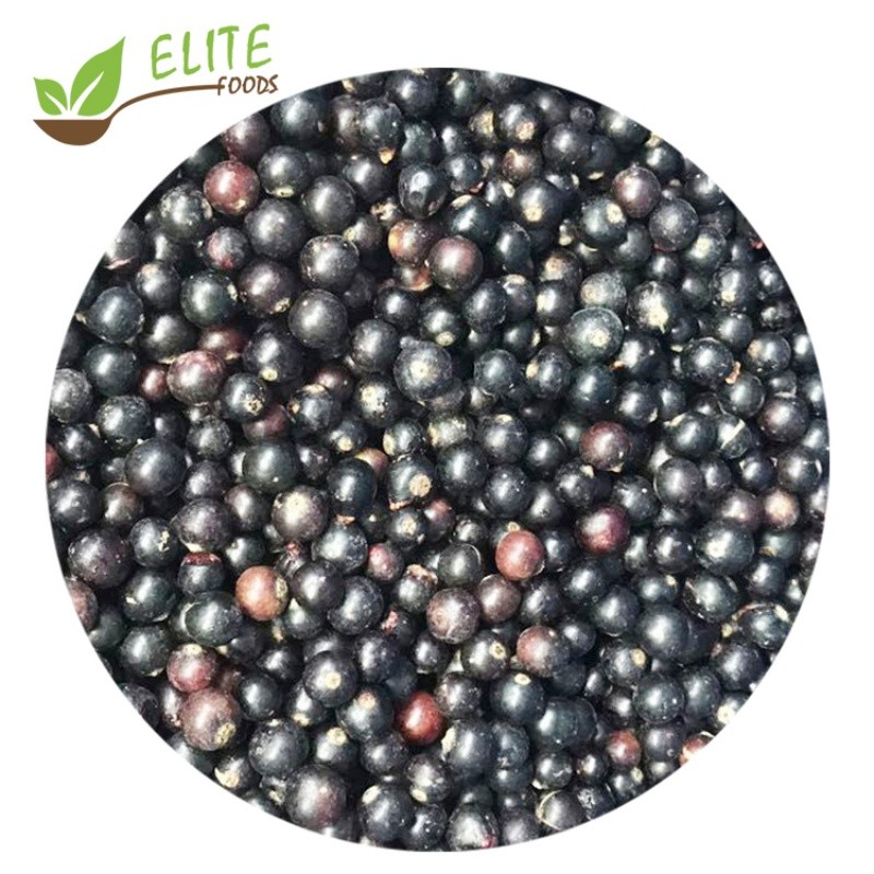 IQF Frozen Black Currant