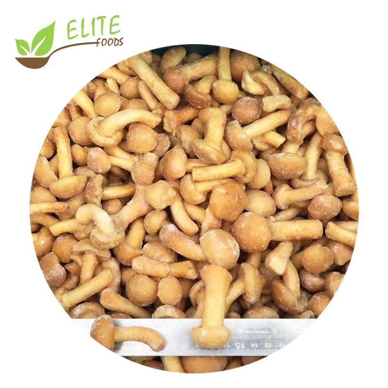 IQF Frozen Nameko Mushroom