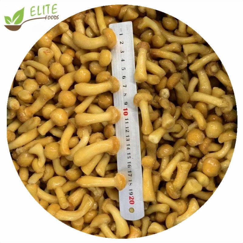 IQF Frozen Nameko Mushroom