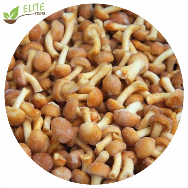 IQF Frozen Nameko Mushroom