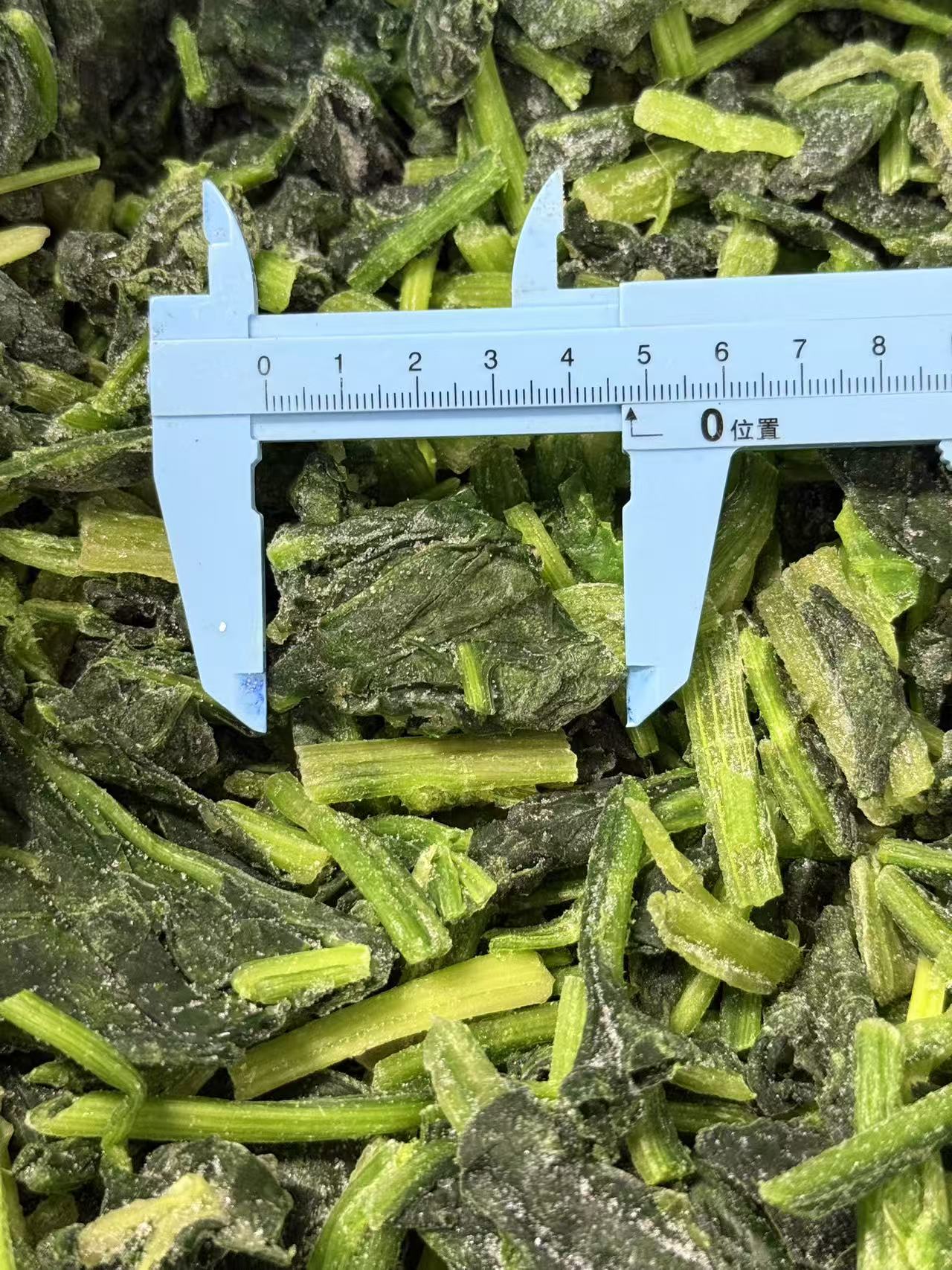 IQF Frozen Chopped Spinach(图2)