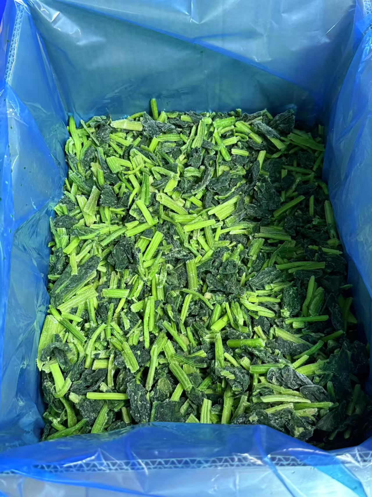 IQF Frozen Chopped Spinach(图3)