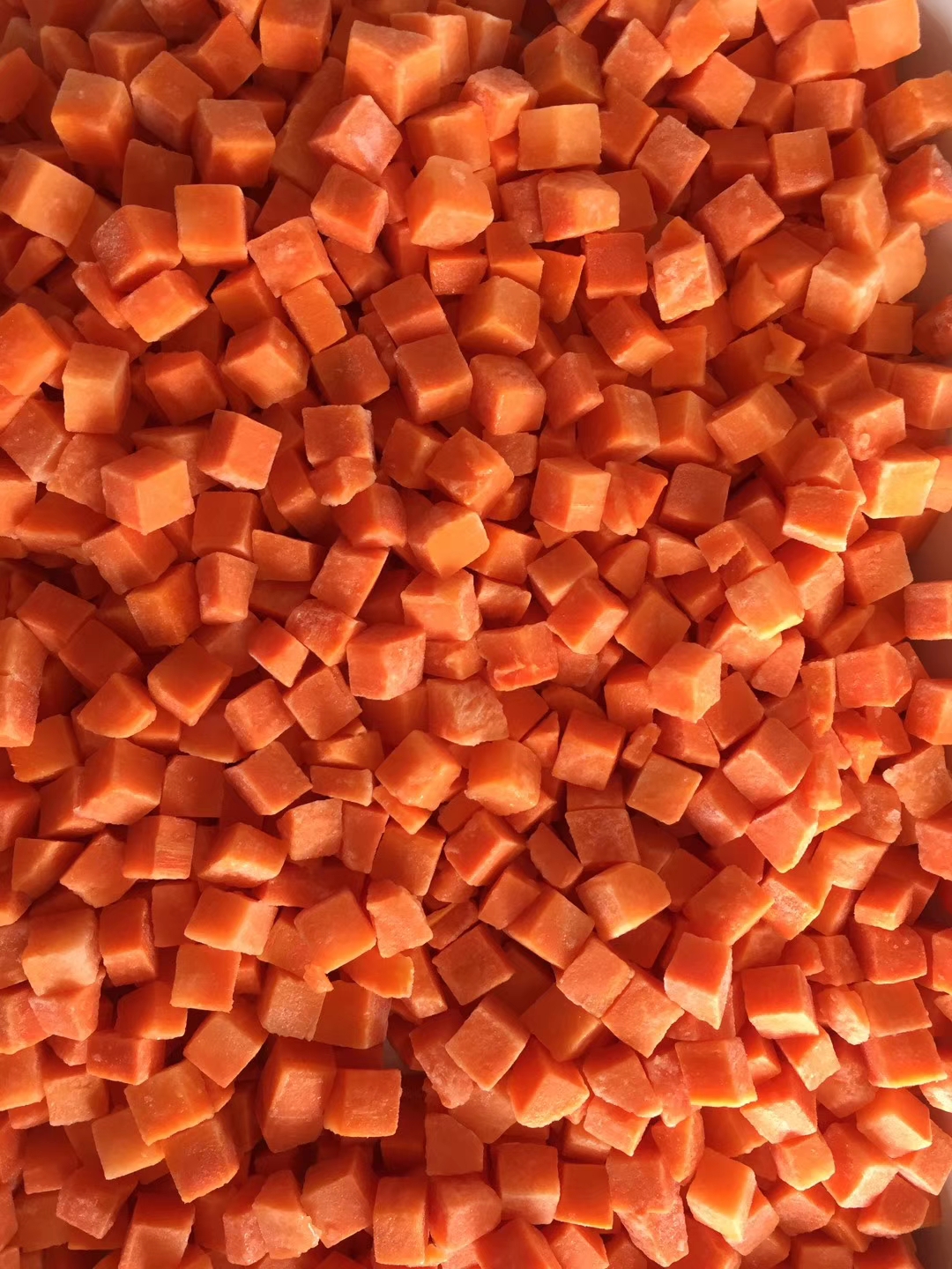 IQF Frozen Carrot(图2)