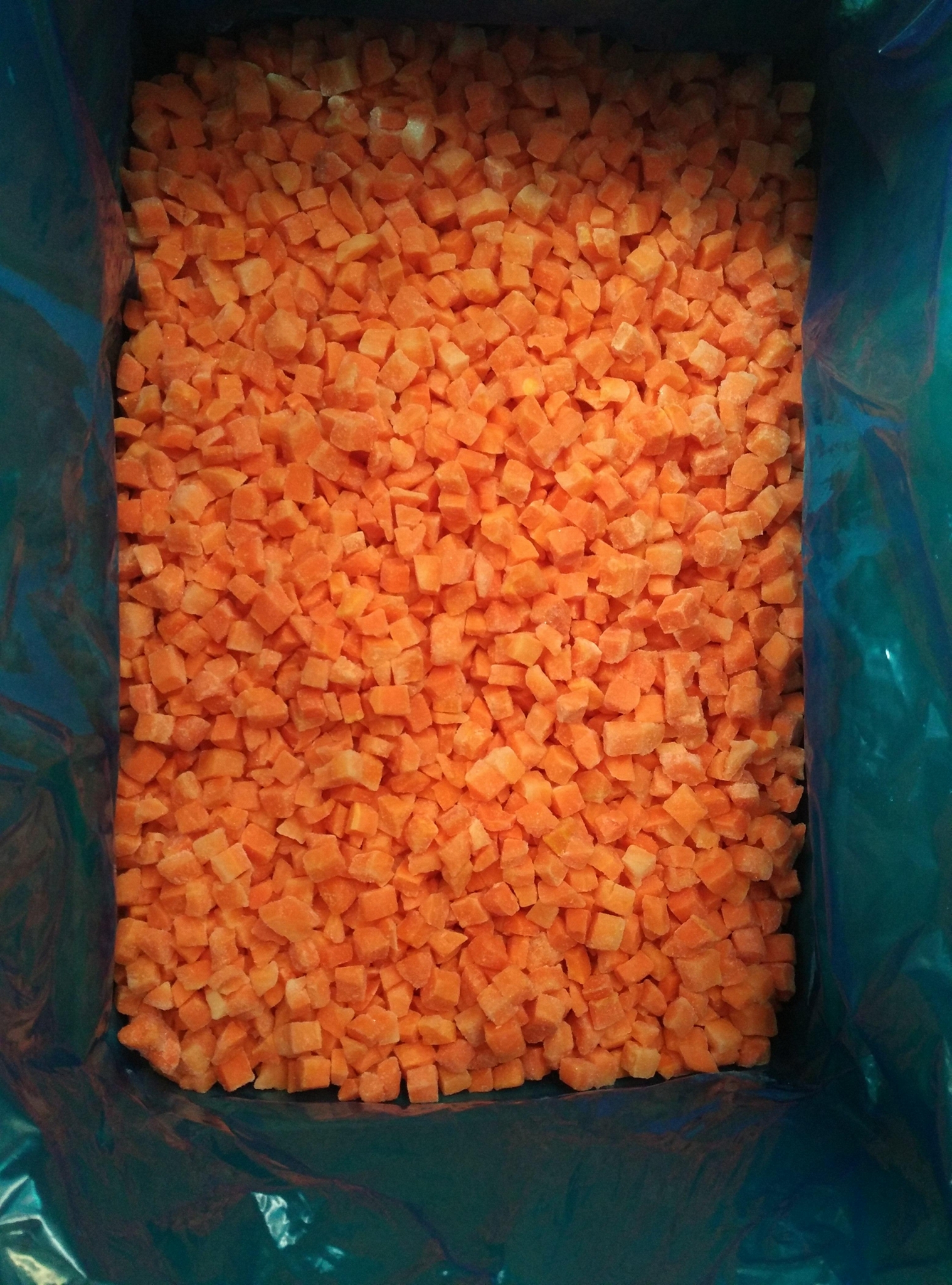 IQF Frozen Carrot(图3)