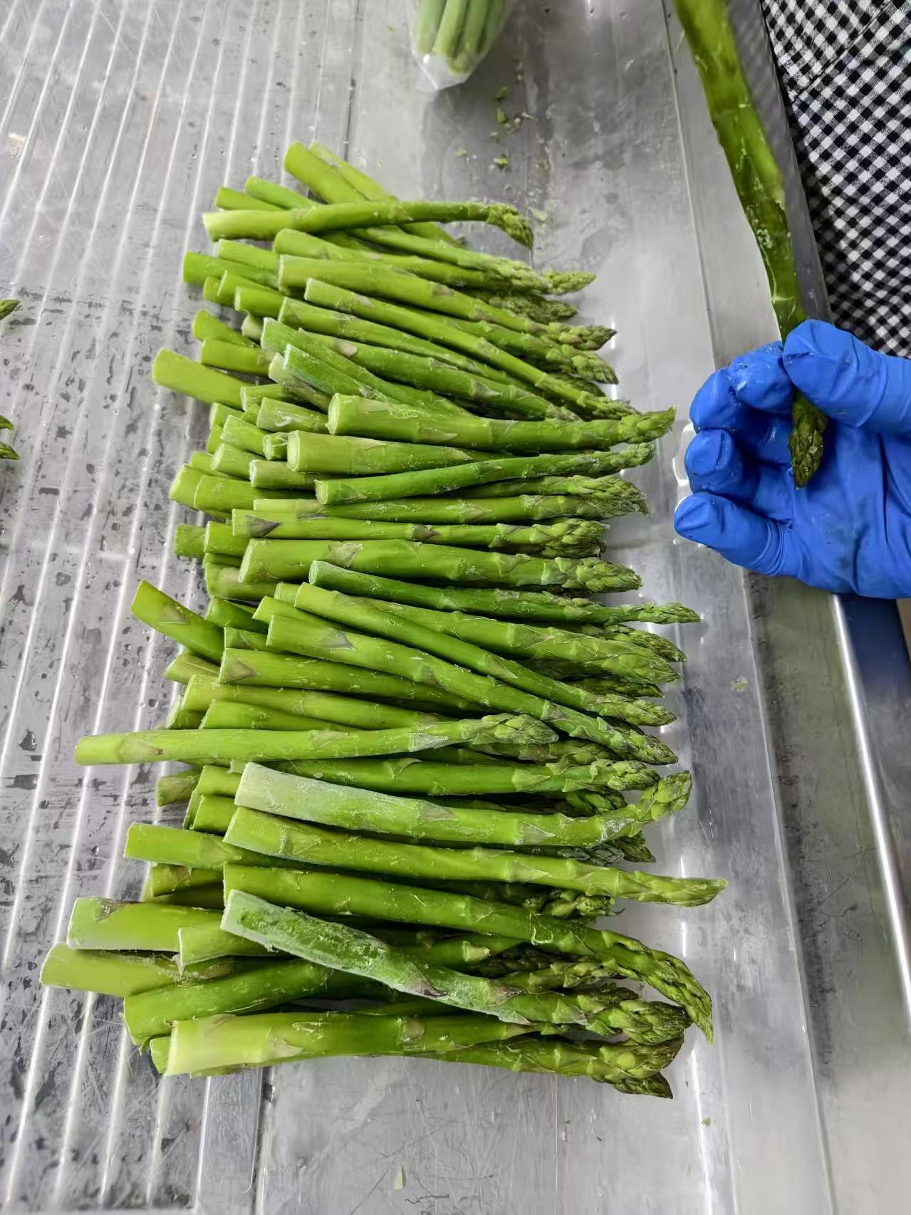 IQF Frozen Green Asparagus(图2)