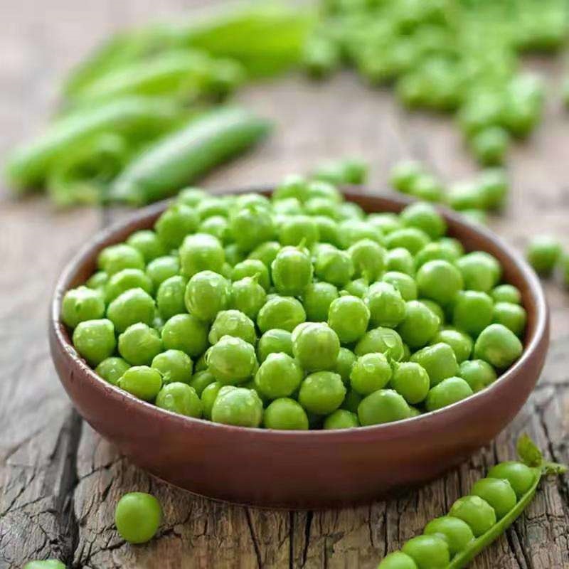 Organic IQF Frozen Green Peas(图2)