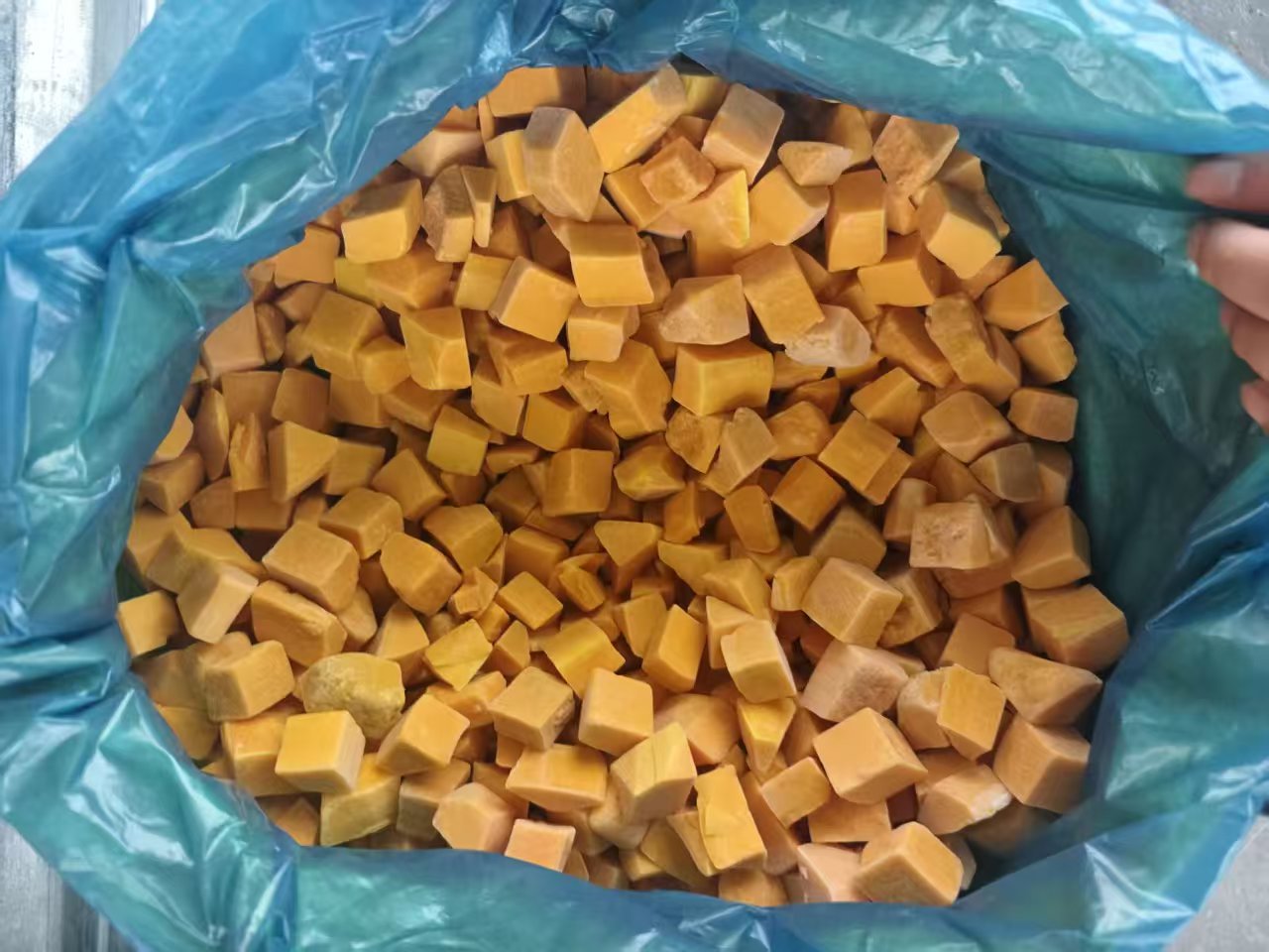 IQF Frozen Pumpkin(图2)