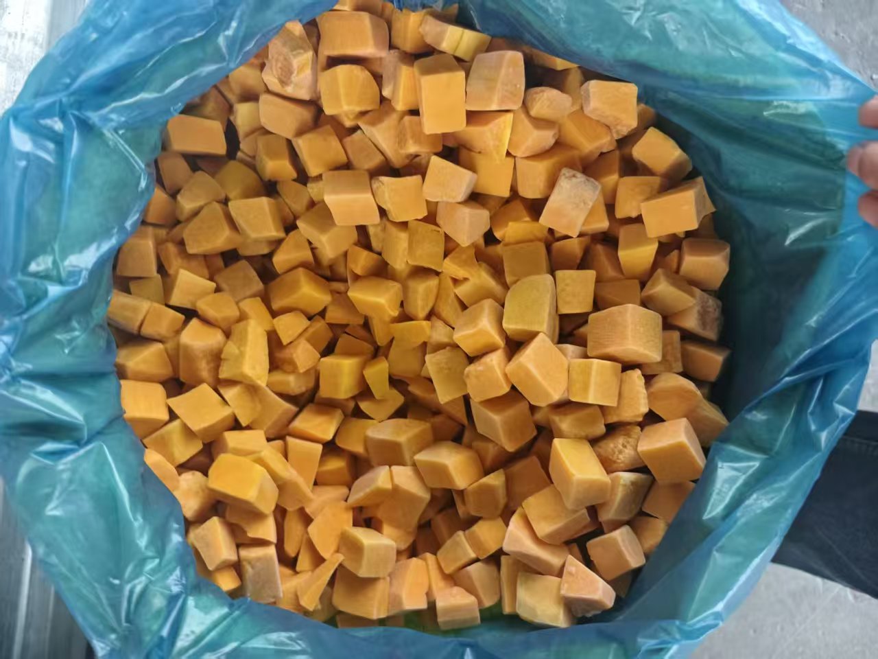 IQF Frozen Pumpkin(图3)