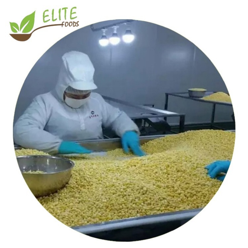 IQF Frozen Sweet Corn Kernels(图3)