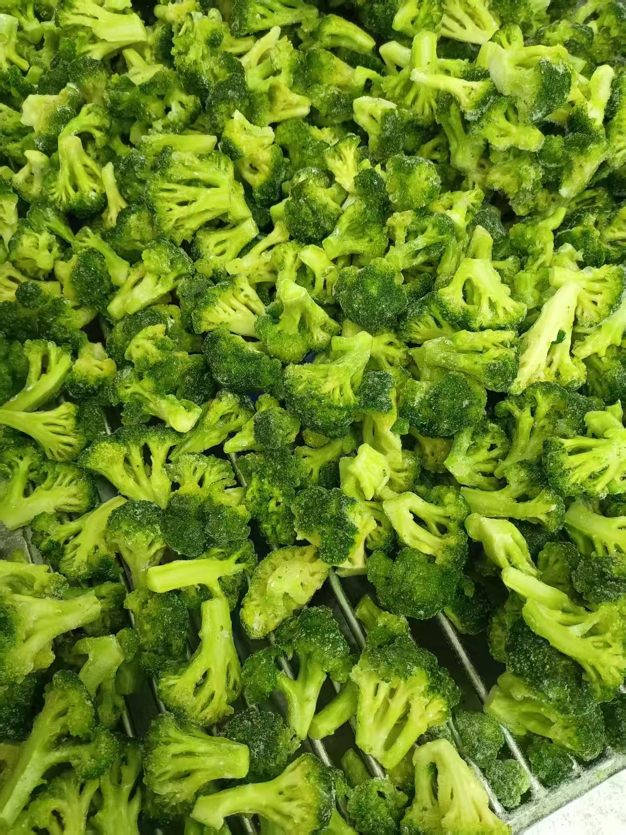 IQF Frozen Broccoli(图2)