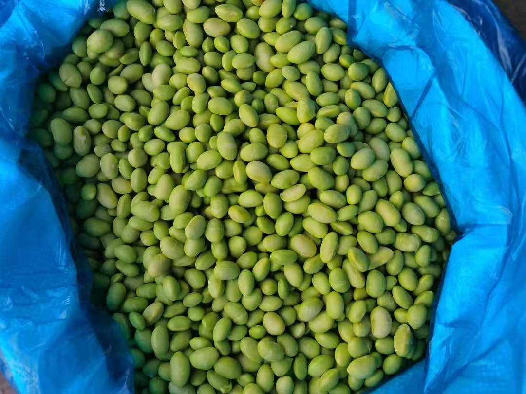 IQF Frozen Edamame Kernels(图2)