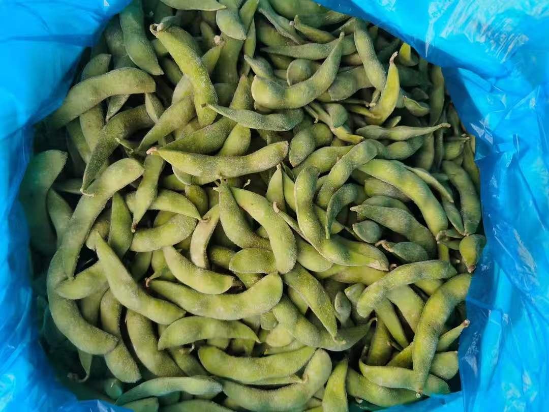 IQF Frozen Edamame in Pod(图3)