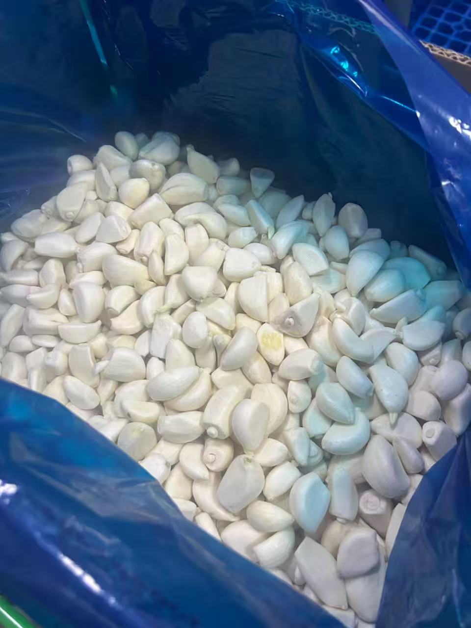 IQF Frozen Garlic(图2)