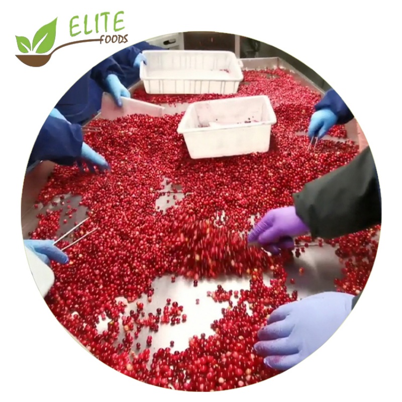 IQF Frozen Lingonberry(图4)
