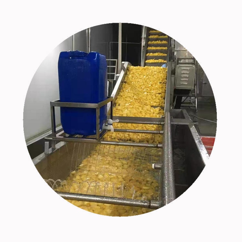 IQF Frozen Pineapple Chunk(图2)