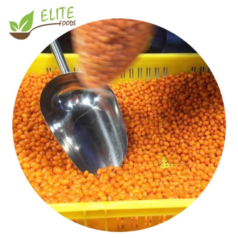 IQF Frozen Sea Buckthorn (图3)