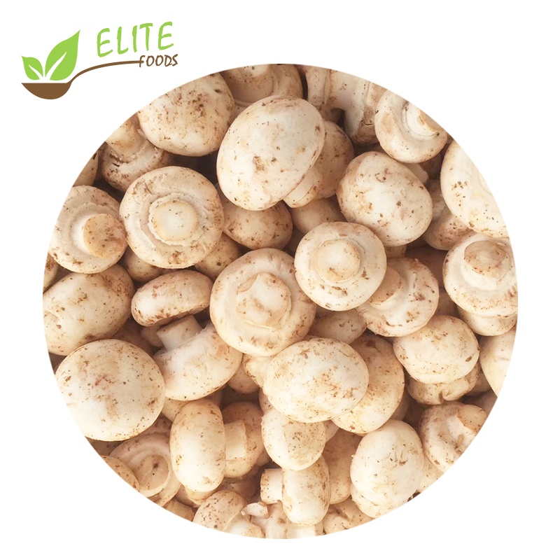 IQF Frozen Champignon Whole(图2)